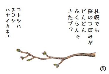 コブタさんの桜のつぼみ 4-1.jpg