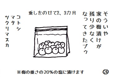 コブタさんの梅の花 4-3.jpg