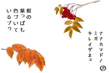 コブタさんの秋のお散歩 4-2.jpg