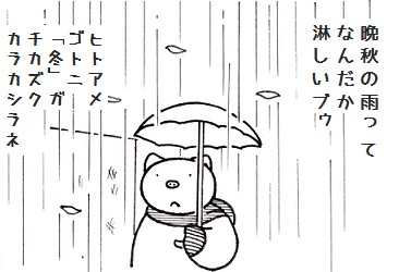 晩秋の雨のコブタさん.jpg
